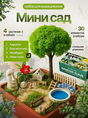 Изображение товара Набор для выращивания Мини садик с прудиком, адениумом, незабудками