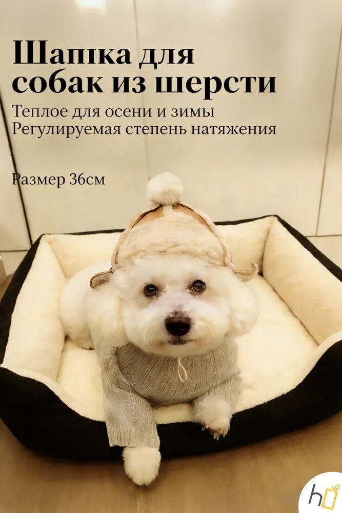 Шапочка для кошки, шапочка для собаки, размер M, окружность головы 36 см