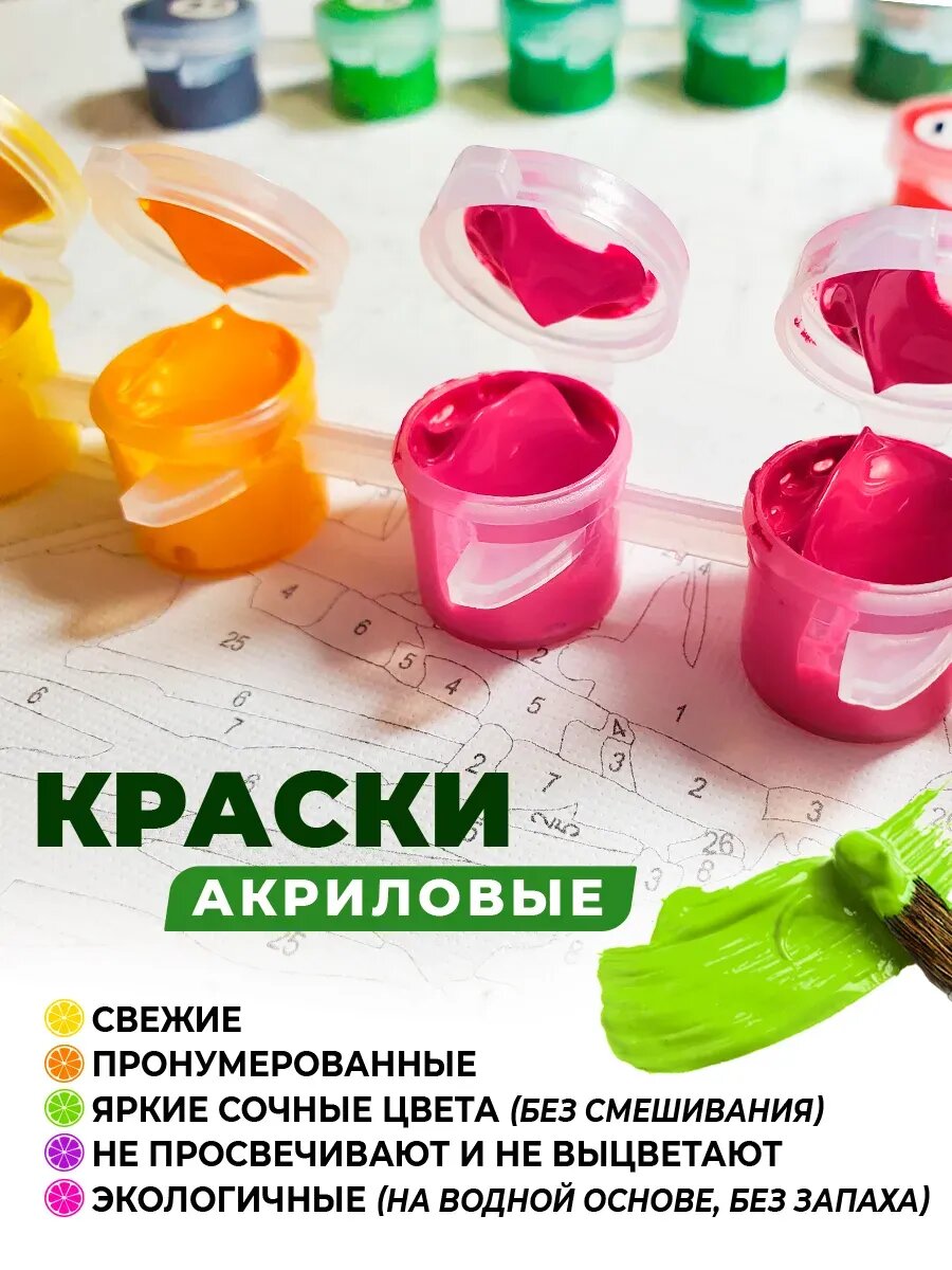 Картина по номерам на холсте с подрамником 40х50 см Мишка Тедди Доллары — фото 1