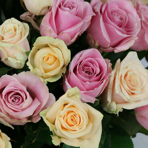 Изображение товара Монобукет Букет Маркет "Коралловое сердце", роза, 51 цветок, 60 см