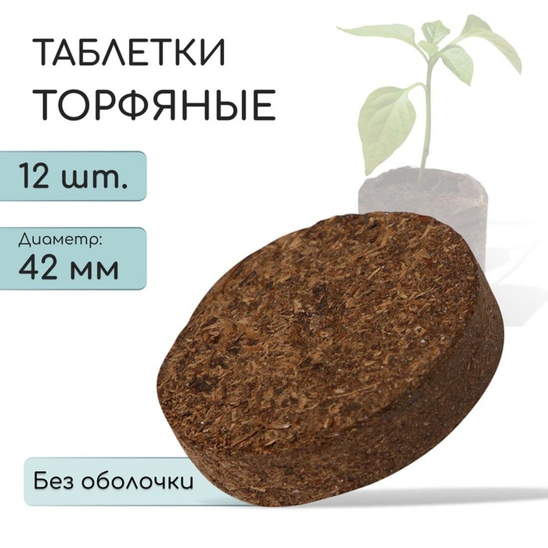 Таблетки торфяные Florizel, d = 4.2 см, без оболочки, набор 12 шт. — фото 1