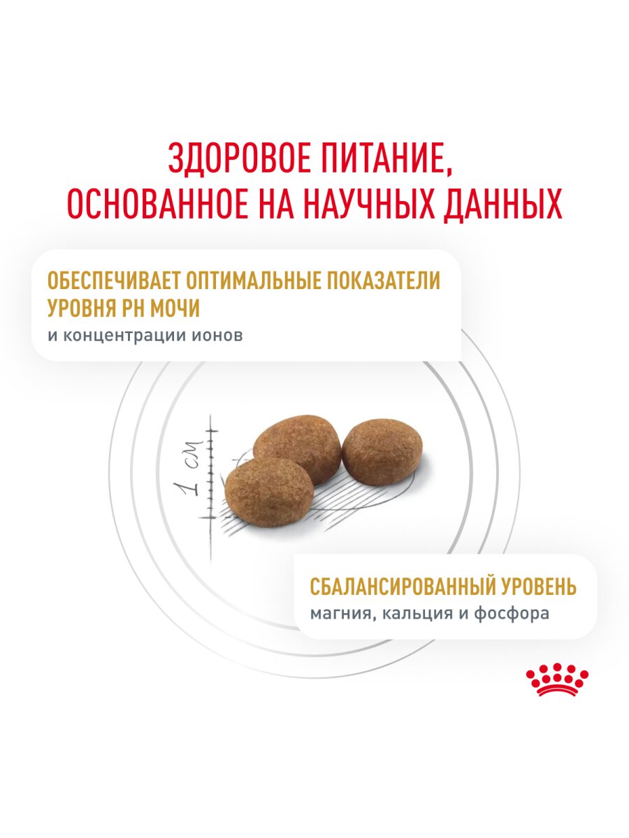 Сухой корм Royal Canin Urinary S/O для кошек при лечении МКБ Диетический, 350 г. — фото 1