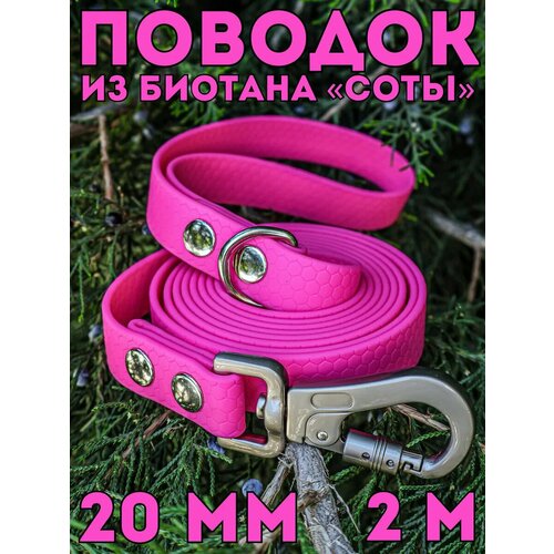 Поводок для собак средних и крупных пород биотановый, 20мм 2м DOG JOYS