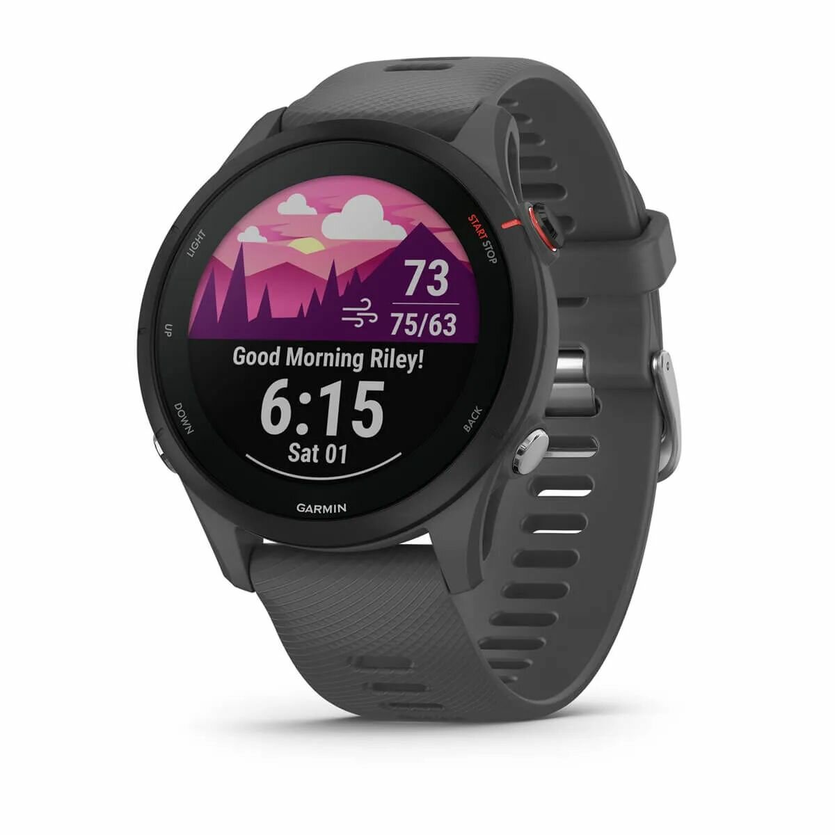 Новый Garmin Forerunner 255 Grey--0613