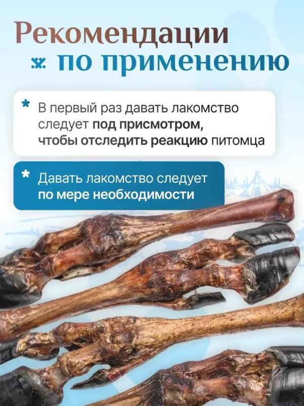 Нога оленя для средних пород 4 штуки лакомства для собак, полезные вкусняшки, Паюта — фото 1
