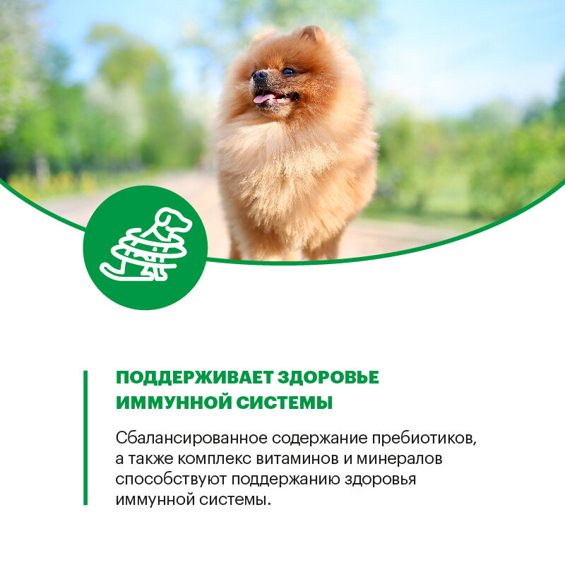 Корм Karmy сухой корм для взрослых собак мелких пород старше 1 года с индейкой, 2 кг — фото 1