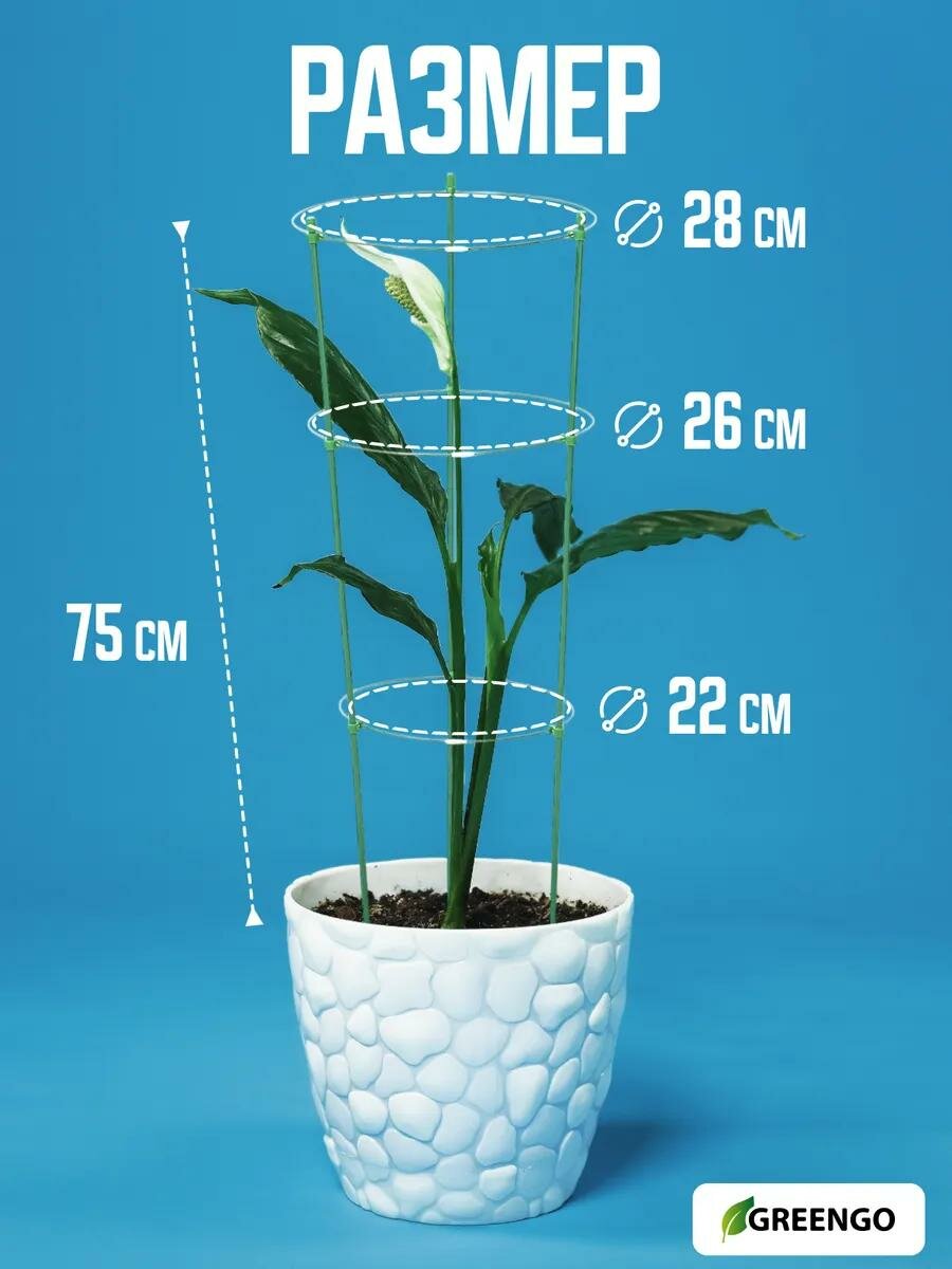 Кустодержатель для цветов "Greengo" d = 22–26–28 см, h = 75 см, 3 кольца, металл, зелёный — фото 1