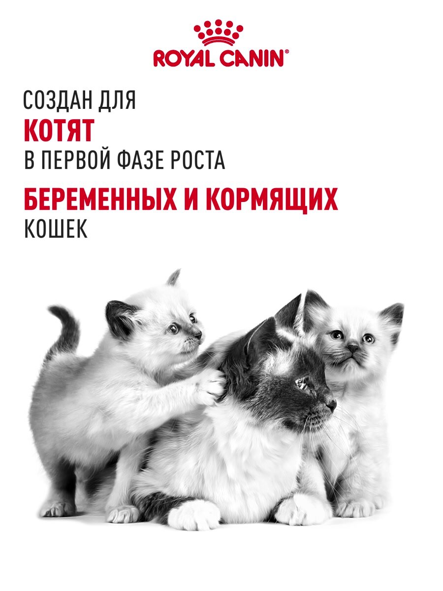 Сухой корм для котят, беременных и кормящих кошек Royal Canin Mother&Babycat, 4 кг — фото 1