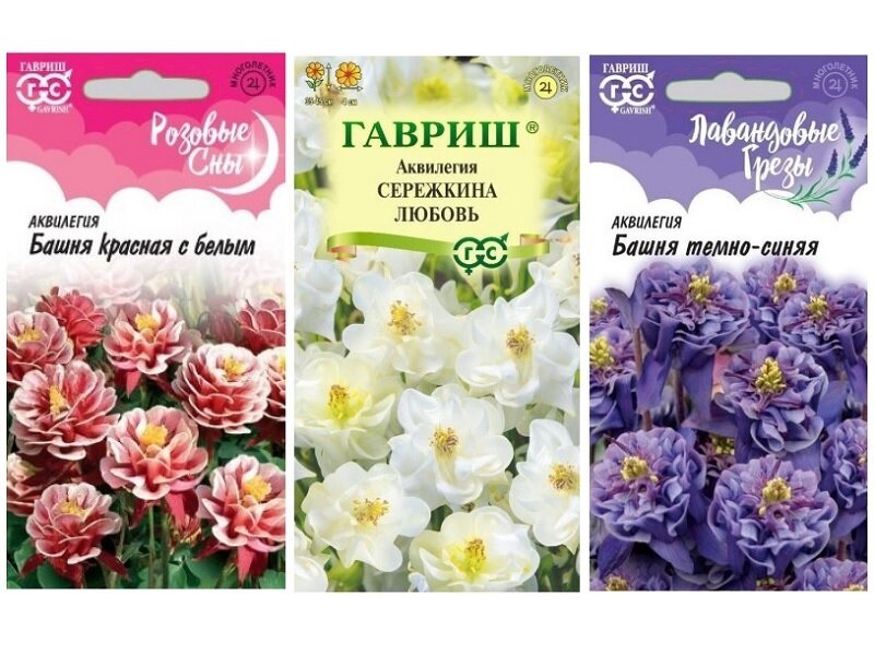 Набор семян многолетников Нежное Сердце (Аквилегия Красная с Белым Сережкина Любовь Темно-синяя)