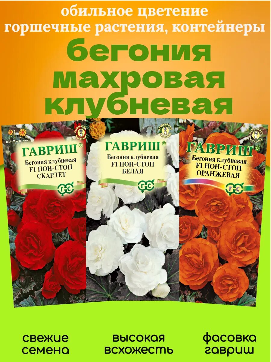 Семена бегония махровая 3 пакета