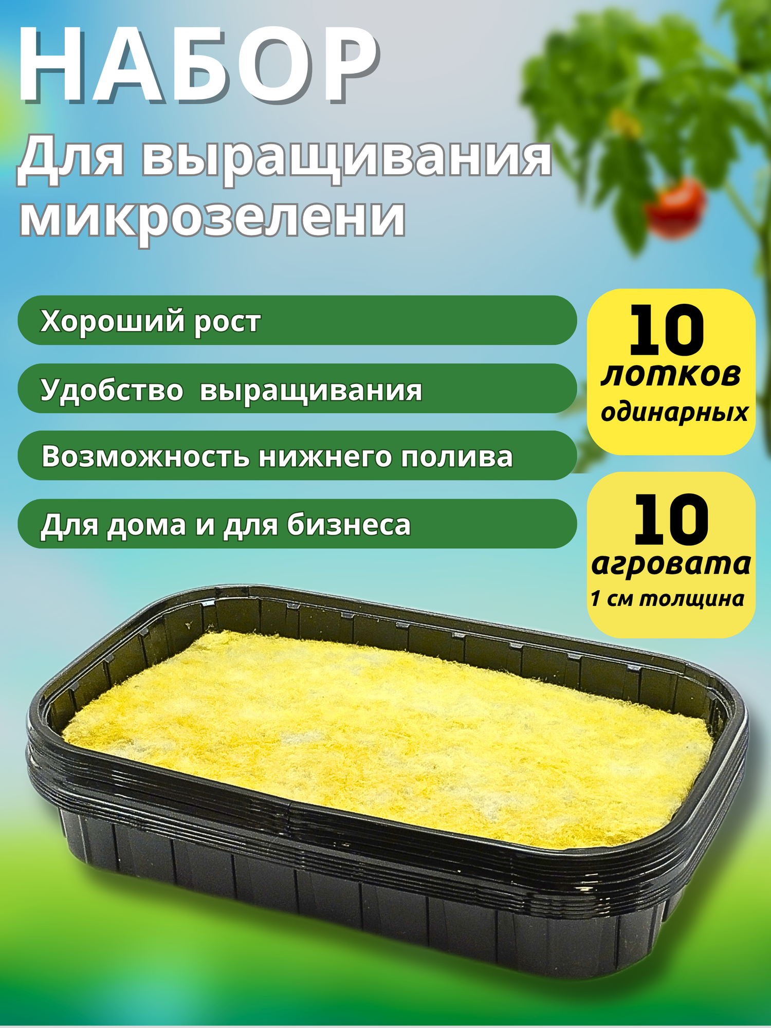 Набор для выращивания микрозлени. Лоток+Агровата(минвата) - 10 шт (пар)