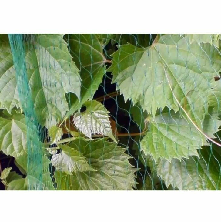 Сетка для защиты урожая 2х10 м GARDEN SHOW — фото 1