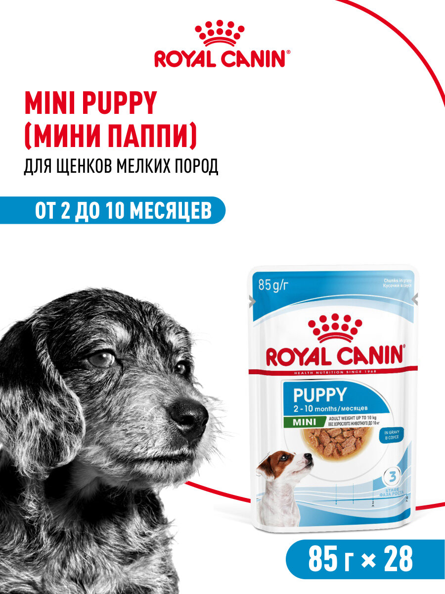 Картинки Влажный корм для щенков Royal Canin Mini Puppy для мелких пород, кусочки в соусе, 28 шт по 85 г