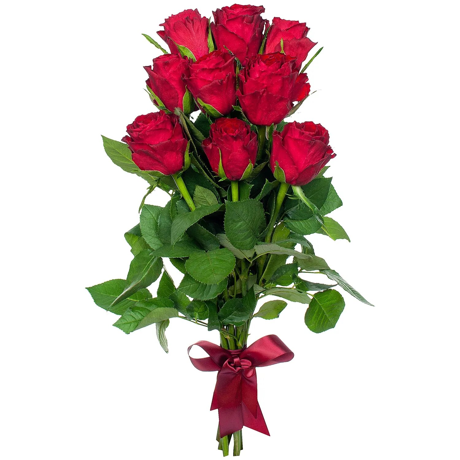 Букет Роза "Мадам Ред" 9 шт Высота 40 см Премиум от "Простоцветы"