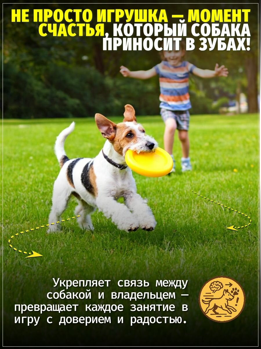 Фрисби 22 см для собак из EVA не тонет игрушка для дрессировки прогулок и активных игр подходит для крупных и средних пород