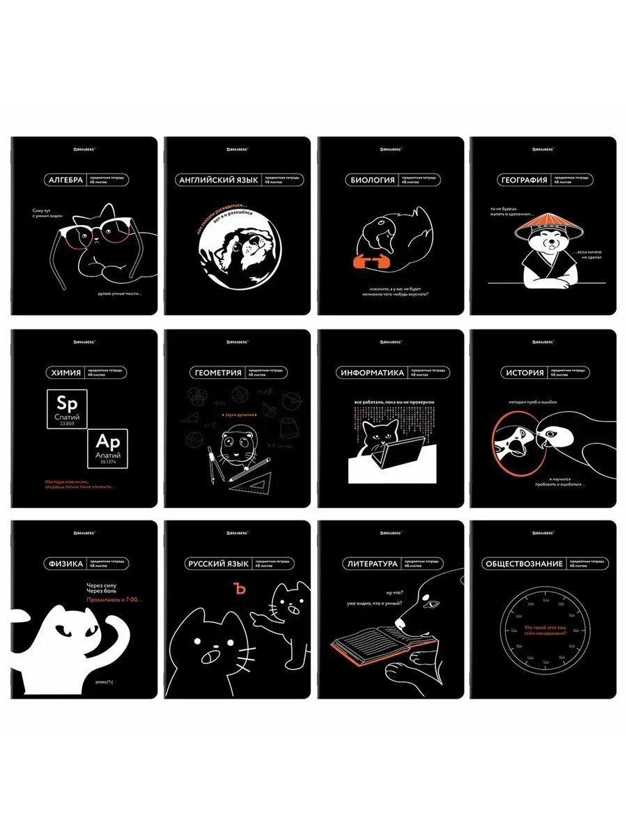 Набор тетрадей BRAUBERG "Предметная", формат A5, клетка, 48 листов, 13 штук черные