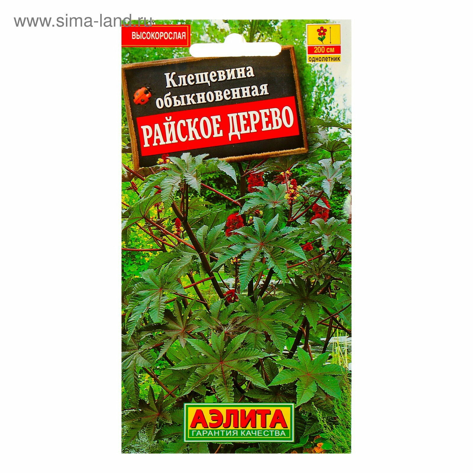 Семена цветов Клещевина 