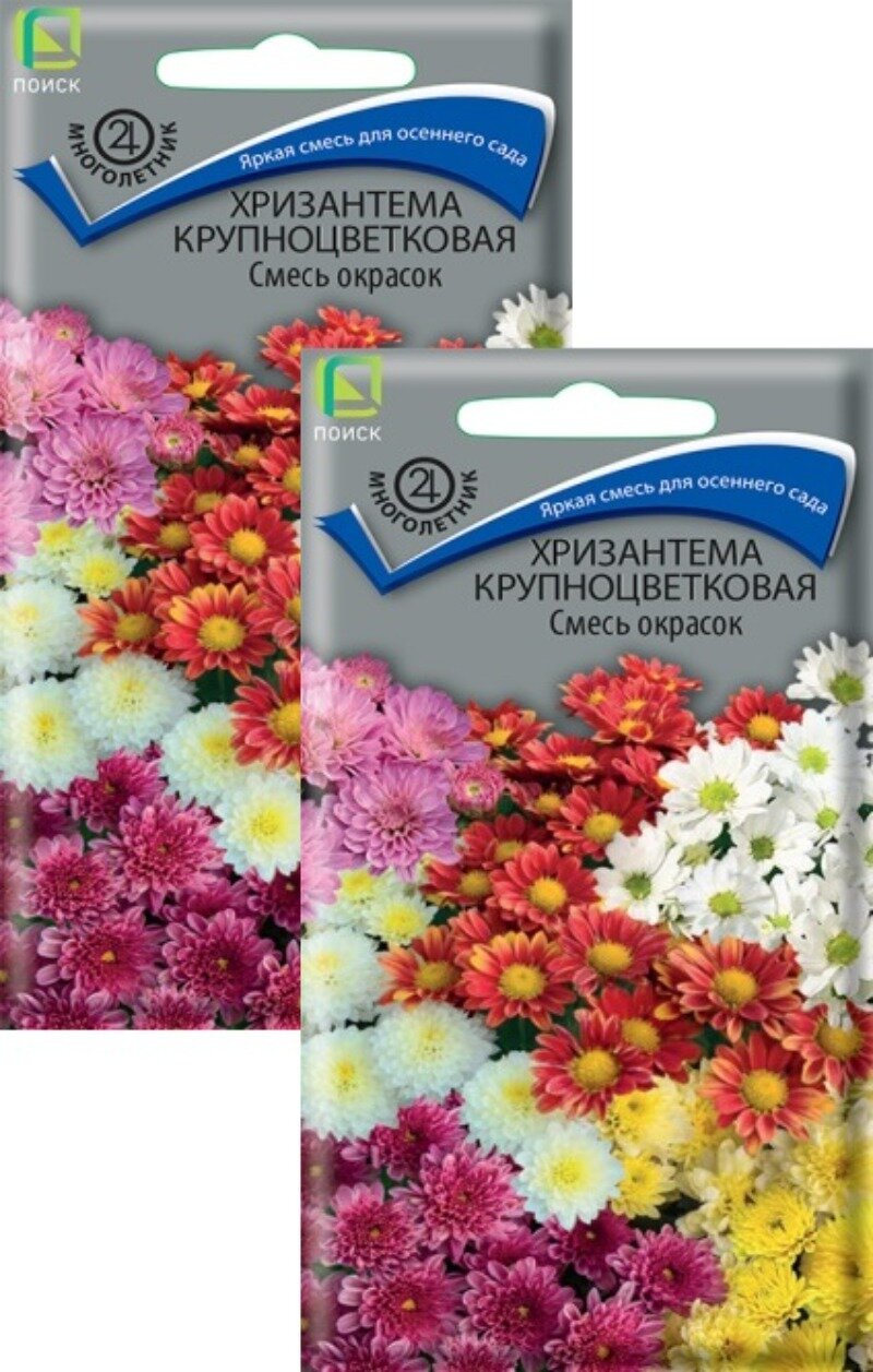 Семена Хризантема крупноцветковая многолетняя смесь (005 г) 2 пакета Агрофирма Поиск