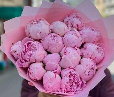 Изображение товара Букет из розовых пионов 15 шт, роскошный букет цветов, премиум цветы, премиум букет