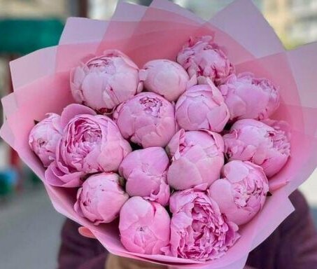 Букет из розовых пионов 15 шт роскошный букет цветов премиум цветы премиум букет