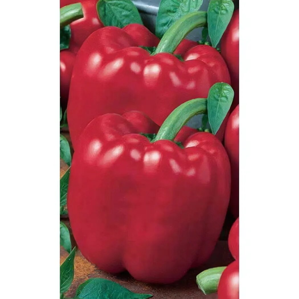 Семена перца сладкого 'Калифорнийское Чудо' раннеспелый 11х9 см красный