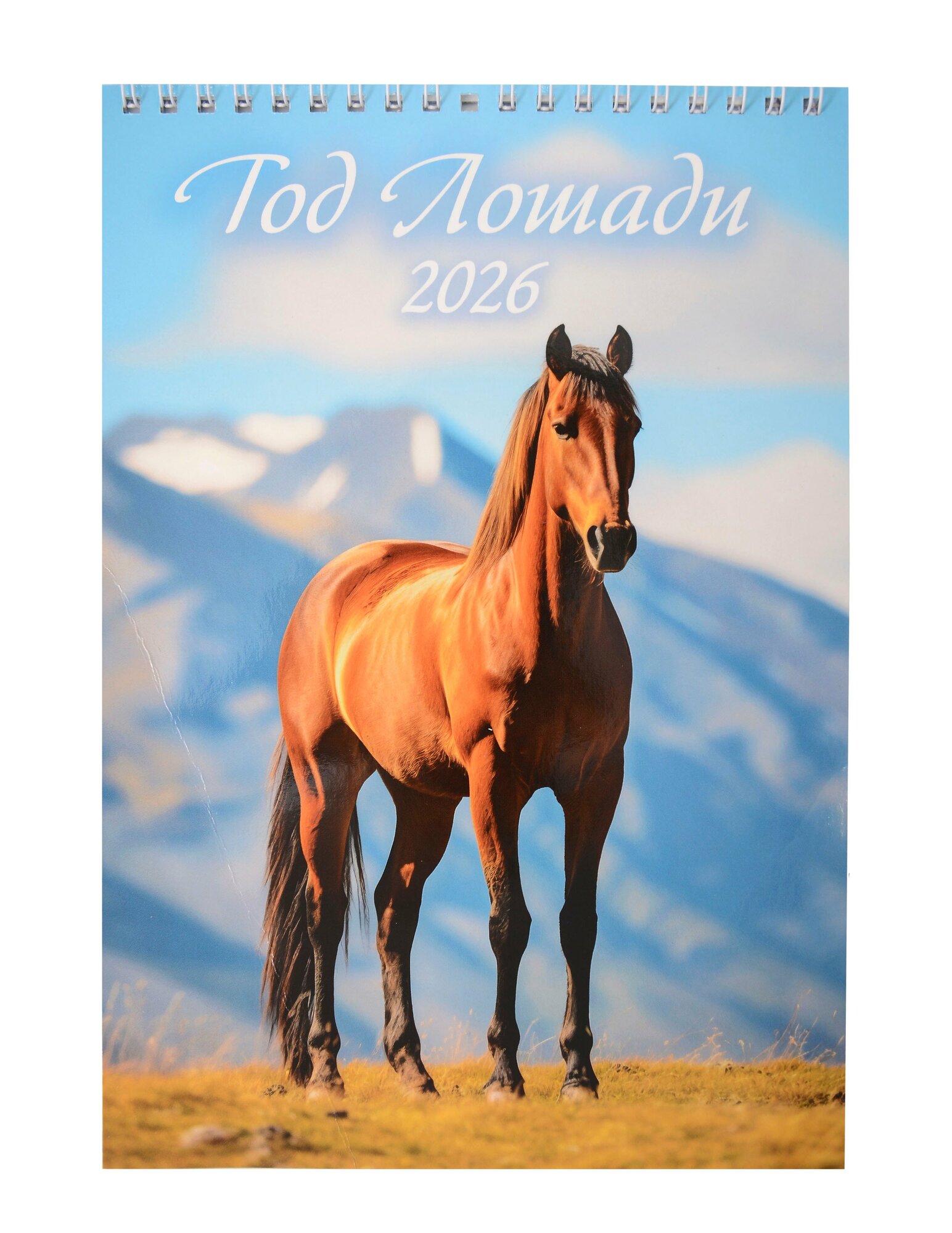 Календарь 2026г 170*250 "Год Лошади. Вид 1" настенный на спирали