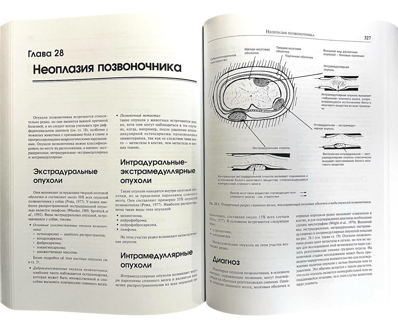 Ортопедия собак и кошек (Денни Р. Хемиш, Баттервоф Стивен Дж.) - фото №9