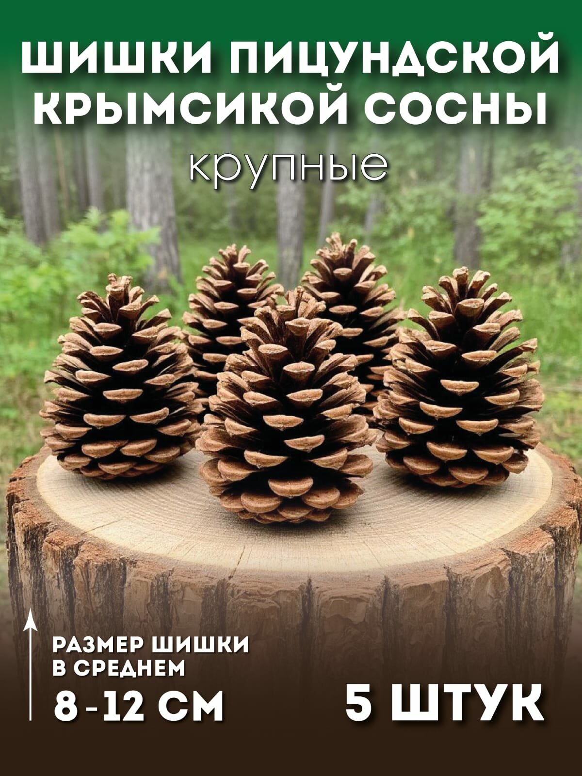 Шишки сосновые крымские 5 шт для поделок