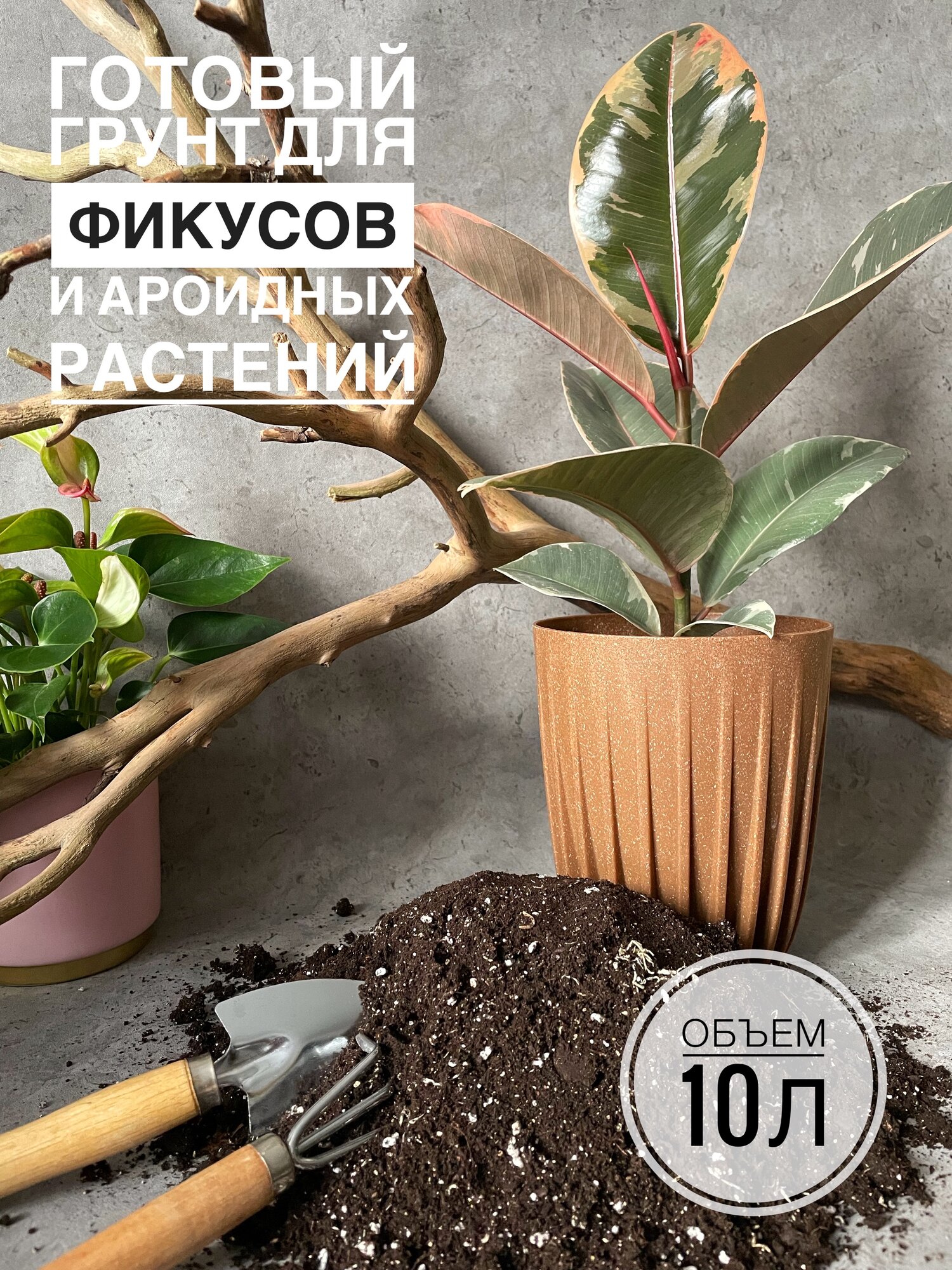Премиум грунт для Фикусов и ароидных 10л с биогумусом Terracotta Plants