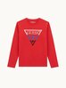 Лонгслив GUESS