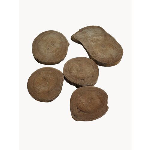 Спилы из массива карагача набор из 5 спилов массива дерева 2500₽