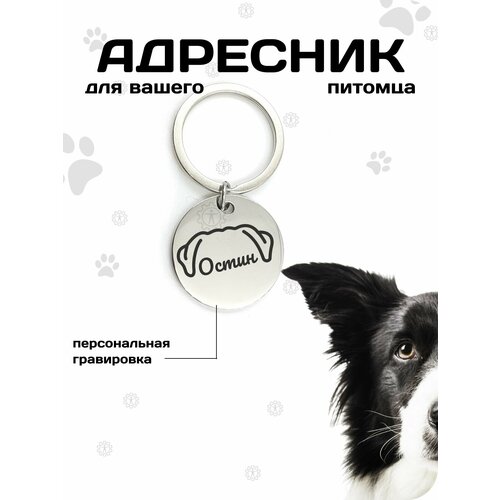 фото Адресник с гравировкой для собак "круг", на ошейник, 30 мм x 30 мм human & gears