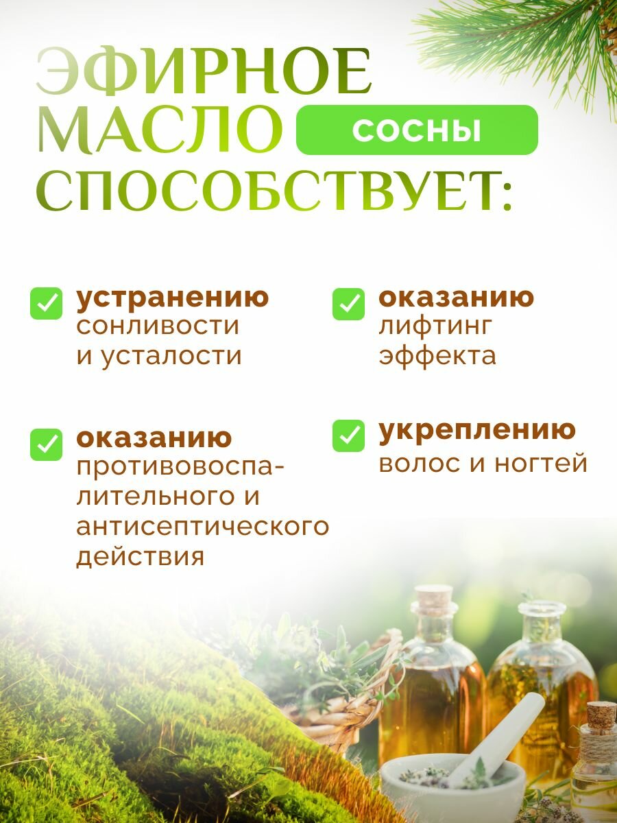 Масло сосны эфирное без отдушек и консервантов Olioteka/Олиотека 10 мл — фото 1