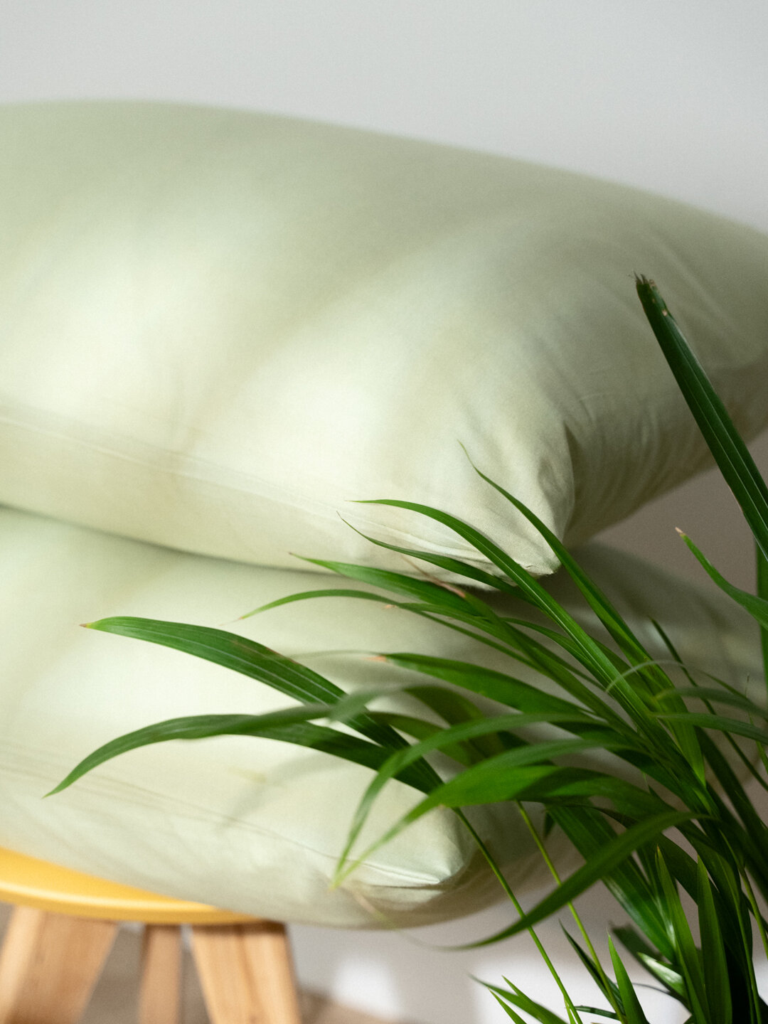 Комплект наволочек "Rania", поплин, гипоаллергенный, 100 % хлопок, 2 шт — фото 1