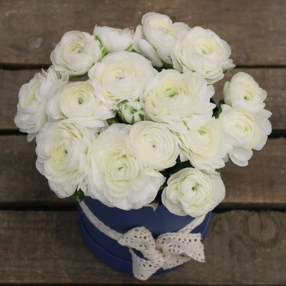9 ранункулюсов / 9 белых ранункулюсов в синей шляпной коробке