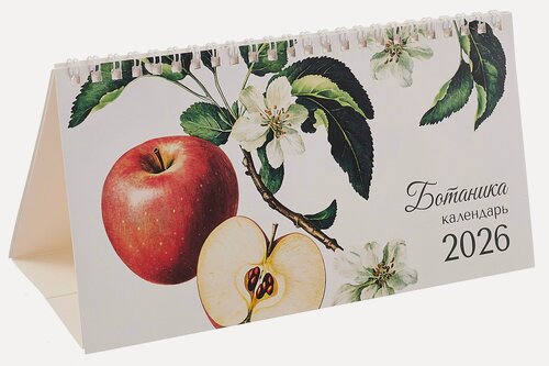 Изображение товара Календарь 2026г 210*120 "Ботаника" настольный, домик