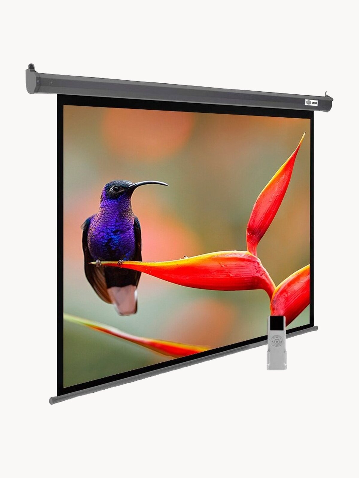 Экран для проектора Cactus SIlverMotoExpert CS-PSSME-220X138-DG 102.24", 220х138 см