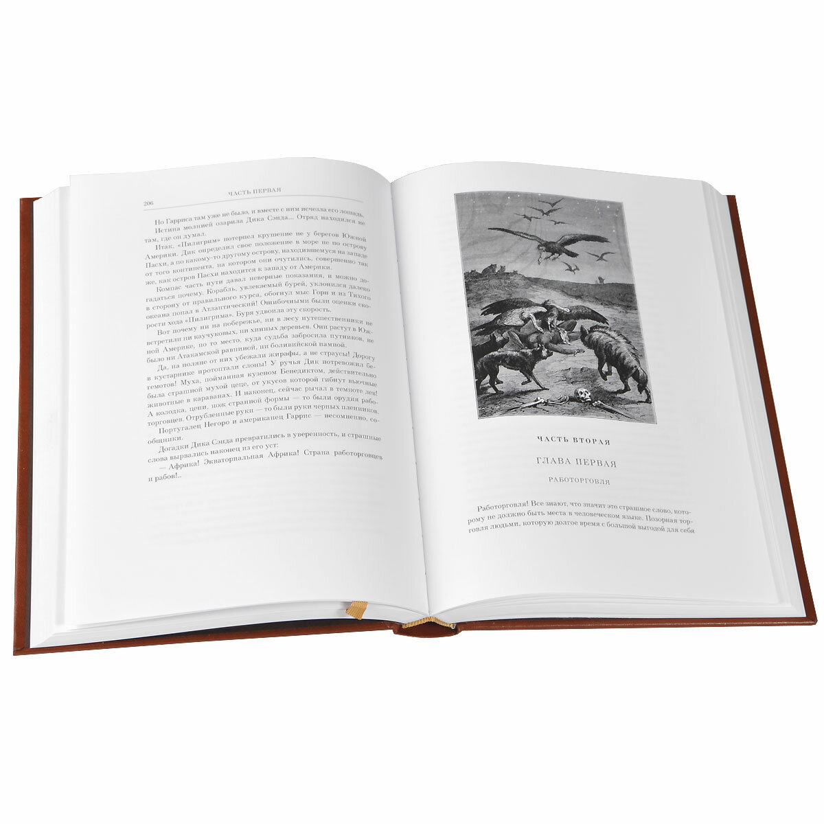 Пятнадцатилетний капитан — фото 1