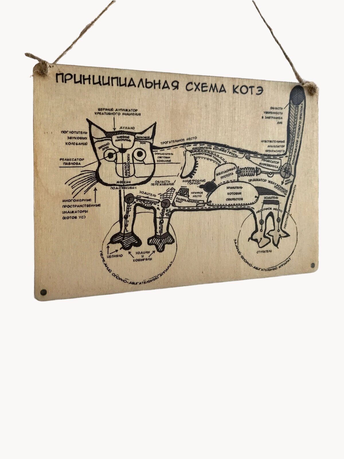 Табличка деревянная, интерьерная 19х27 см. Схема котэ