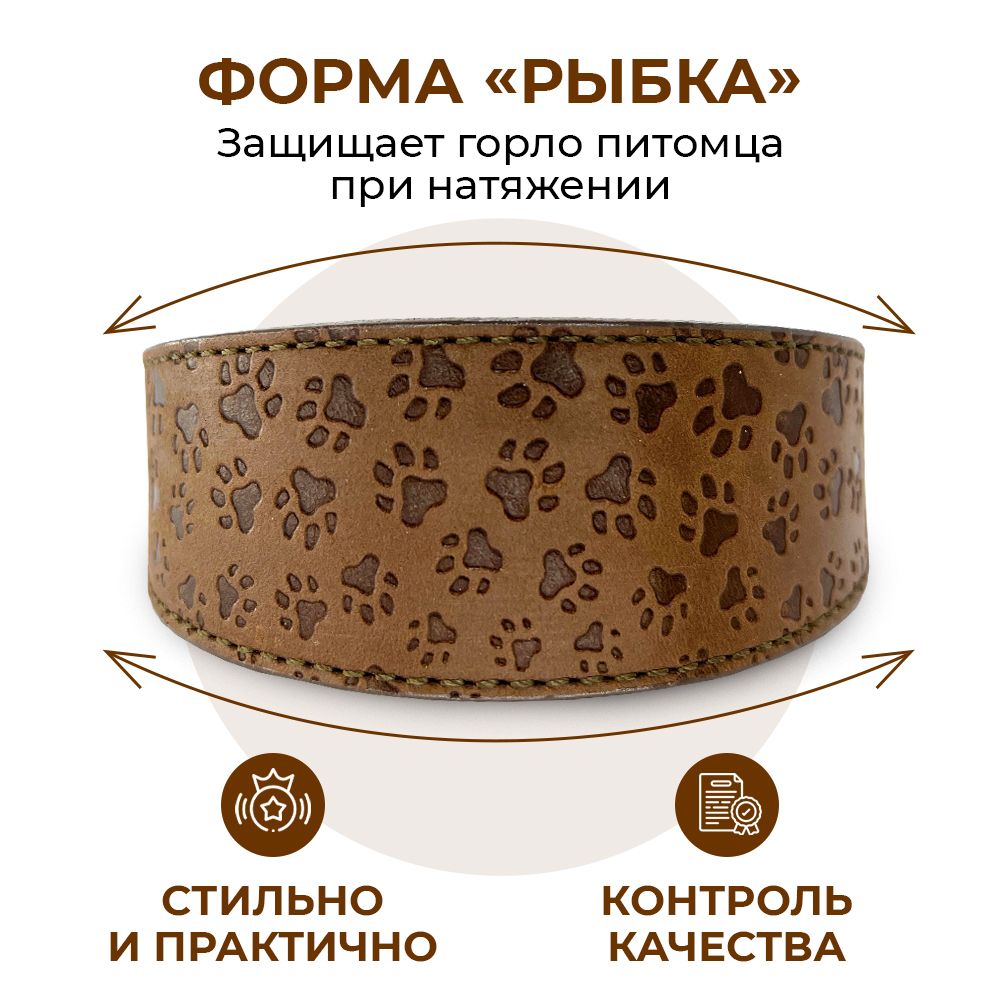 Ошейник для собак мелких пород из натуральной кожи Для прогулки / Обхват шеи 22-28 см