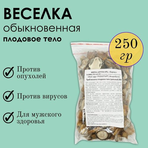 Изображение товара Гриб весёлка "Фито-Аптекарь" против доброкачественных и злокачественных опухолей, плодовое тело цельный 250г
