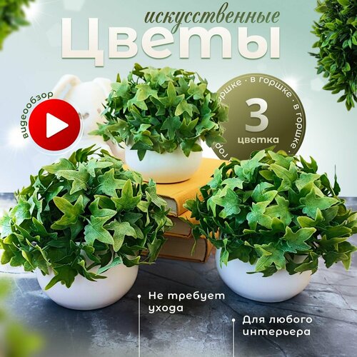 Искусственные цветы в пластиковых горшках Плющ. Набор декоративных растений в кашпо 3 шт.