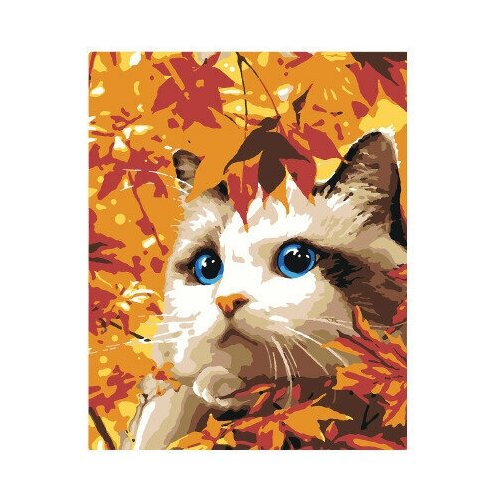 Картина по номерам на холсте Осенний котик 40х50 см