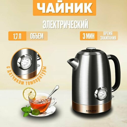 Чайник электрический с термометром ретро нержавеющая сталь 270000₽