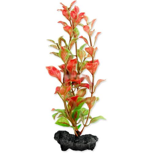 Растение аквариумное с утяжелителем Tetra Red Ludvigia 3, 30 см растение для аквариума red foxtail 3 l 30 см с утяжелителем