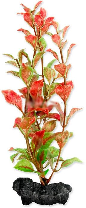 Растение аквариумное с утяжелителем Tetra Red Ludvigia 1, 15 см