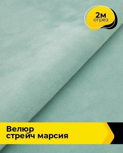 Ткань для шитья и рукоделия Велюр стрейч "Марсия" 405гр 2 м * 150 см, фисташковый 025