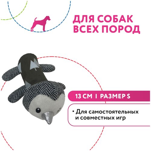 Petpark игрушка для собак Пингвин 13 см разноцветный, с пищалкой, размер S pet park игрушка для собак пингвин с пищалкой разноцветный 13 см s