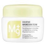 A'PIEU Cicative Magnesium Cream Крем для лица с магнием - изображение