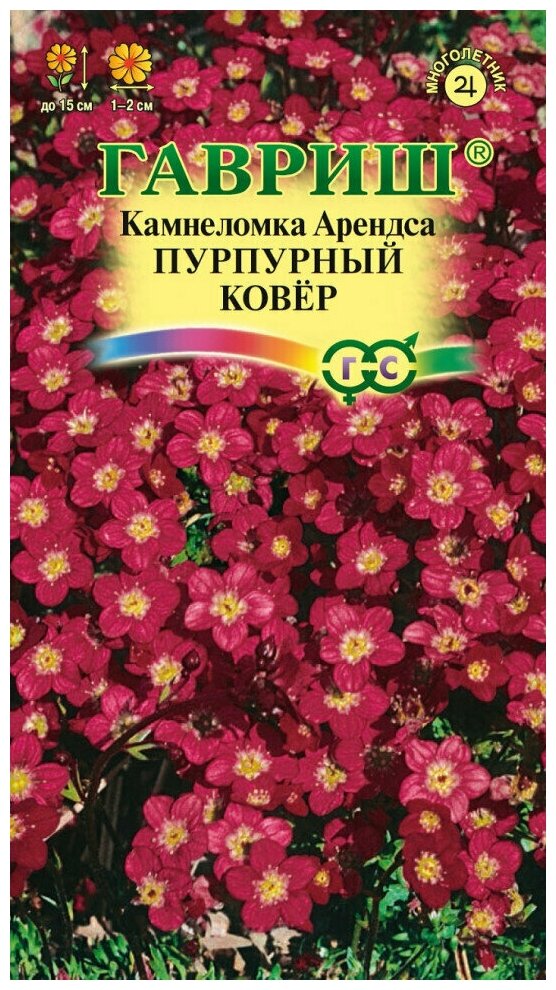 Семена Камнеломка Арендса Пурпурный ковер 001г Гавриш Цветочная коллекция
